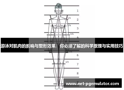 游泳对肌肉的影响与塑形效果：你必须了解的科学原理与实用技巧
