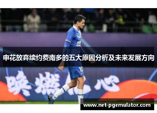 申花放弃续约费南多的五大原因分析及未来发展方向