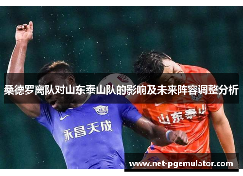 桑德罗离队对山东泰山队的影响及未来阵容调整分析