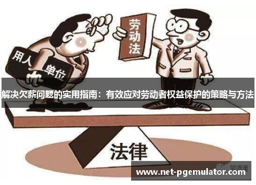 解决欠薪问题的实用指南：有效应对劳动者权益保护的策略与方法