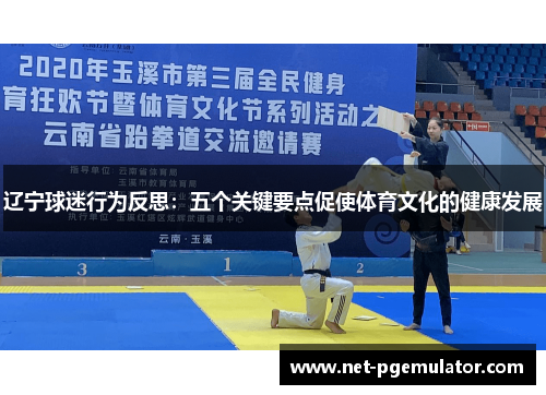 辽宁球迷行为反思：五个关键要点促使体育文化的健康发展