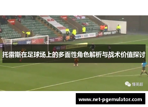 托雷斯在足球场上的多面性角色解析与战术价值探讨