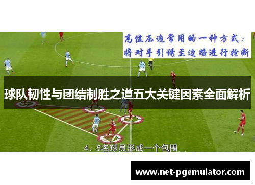 球队韧性与团结制胜之道五大关键因素全面解析