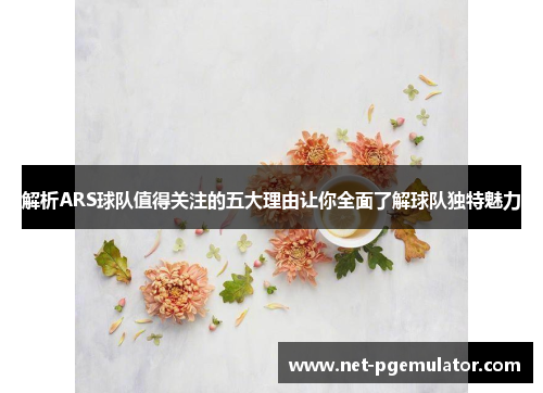 解析ARS球队值得关注的五大理由让你全面了解球队独特魅力